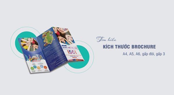 Kích Thước Brochure Chuẩn Nhất Hiện Nay!