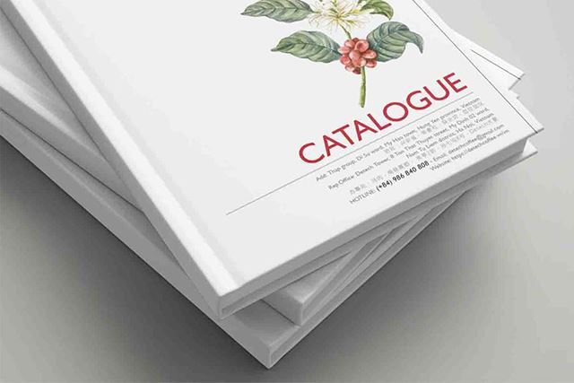 Dịch vụ in catalogue bìa cứng giá rẻ – chuyên nghiệp
